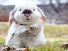 ときめきお裾分け♡マスキングテープ好き女子がハマる #交換便ってな〜んだ？