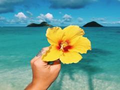 ハワイアンな風を♩ハイビスカスネイルで華やかさとポップさをプラスして