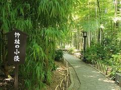 京都のおすすめ観光スポットまとめ♡