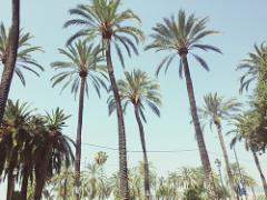 夏は目立ってナンボでしょ♡柄ものリゾートスタイルコーディネート集