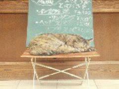 甘く涼しく爽やかに♭夏のカラートップス×白ボトムスのかき氷コーデ