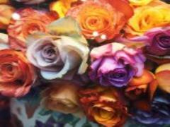 サクッ！モチッ！カメハメハベーカリーのポイ・グレーズドが気になる♡