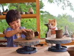 夏休みの予定は決めた？にゃらんCMと遊びを予約する新サービスに注目☆