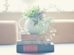 あなたの毎日がより華やぐ。今に寄り添う、花のある暮らしをしてみよう