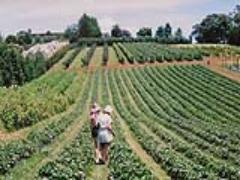 ココロに届く、自然の恵。ボタニカルカフェdeエネルギーチャージ＊