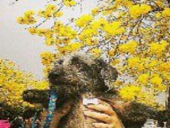 「え？そうやったん？」大阪出身の私が教えたい、大阪だけにしかない食べ物のあれこれ