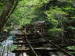 まるで映画『スタンドバイミー』の世界。廃線ウォークでノスタルジーに浸りましょ