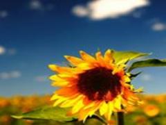 セルフネイルに困ったら、instagraで「#セルフネイル部」で検索♪