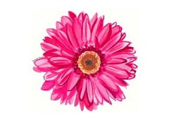 タイから届ける、ささやかな幸せ。サバイアロムのナチュラルボディコスメ＊