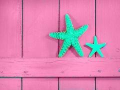 シェルばっかりじゃない。スターフィッシュネイルにも注目して♡