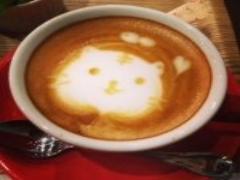 毎日ちょっとだけ小さな幸せを♡キャットネイルで指先から癒しをもらう