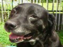 野菜をそのまま器に◎エコで見た目もキュートなくり抜きレシピ♡