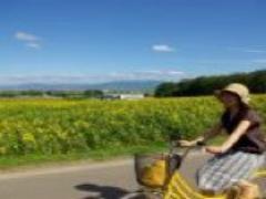 優しさ溢れるナチュラルデザイン。北海道発「点と線 模様製作所」