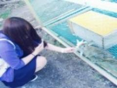 「プリン+醤油=ウニの味」不思議な組み合わせで新しい味を発見！