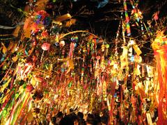 もうすぐ7月7日。ロマンチックな七夕をあなたは彼とどう過ごす？♡