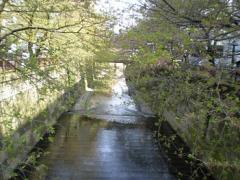 グルメだけじゃないんです♡中目黒でおしゃれな雑貨屋さんめぐりの旅