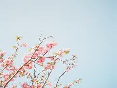 手紙は捨てる？捨てない？元カレからのプレゼントどうする問題を解決！