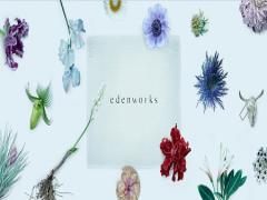 まるで楽園にいるかのよう。 “edenworks” が生み出す花々たちの魅力