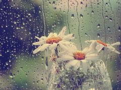 雨の日をもっとハッピーに♩虹色アイテムに囲まれて過ごしましょ