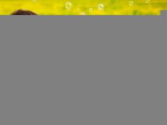 年下彼氏と付き合う時に気を付けたい5つのポイント