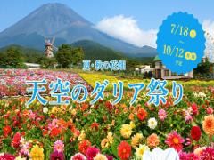 富士山の麓に広がる鮮やかな花の絨毯。「天空のダリア祭り」開催