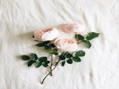 〈〜500円以内〉ちょっとした思いを相手に伝えるギフトアイデア3選