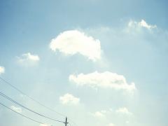 あなたのコーデは正解？NG？夏のレジャーイベントで心がけるべき4つのポイント