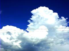 夏バテには"飲む点滴"を！新定番「冷やし甘酒」で暑さを乗り切る♩