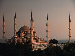 サバとパンのステキな関係。「サバサンド」はサンドイッチ界の新たな刺客♡