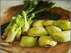 デトックス効果も期待できちゃう！？春の山菜たらの芽のレシピ