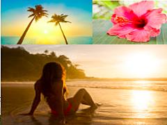 キュートすぎてため息♡おフェロ女子はこんなアイテムを待っていた！