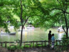 お母さんの優しい味を♡ワッフル専門店「ママズ・ワッフル」が吉祥寺にオープン