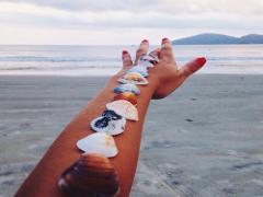 イルカに会う、特別な夏へ♡日本でも野生のイルカが見れる能登島へ出かけよう。