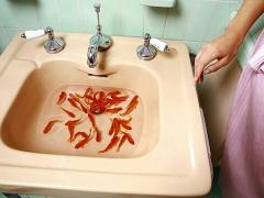 食欲のない夏の食卓に。さっぱりシャキシャキな山形名物の”だし”が救世主でした。