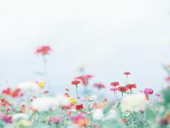 高尾山じゃないTAKAOへ行こう。お昼すぎから行く 、のんびり夏デートスポット