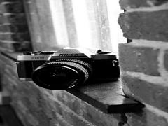 極彩色のクラゲ空間が登場。蜷川実花とすみだ水族館の夢のコラボが実現！