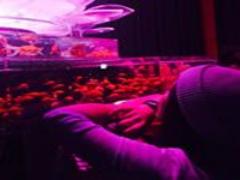 写真映え抜群♡ポムダムールトーキョ