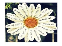 大切なあの人に届けたい♡誕生日に送る「ほっこり心温まる言葉集」