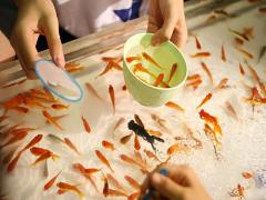 金魚すくいのポイが手紙に変身。「ぽいぶみ」であなたの心も掬いたい夏。