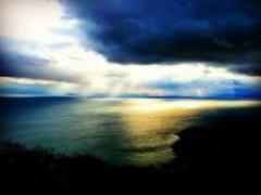 喜ばれること間違いなし♪北海道の「お土産ケーキ」はこれで決まり！