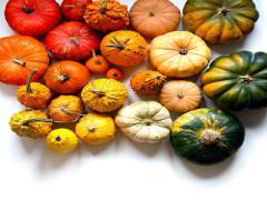 捨ててる部分に美の栄養‼環境と体に優しいECO飯で美人革命