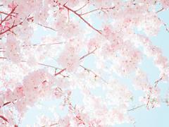 青春って甘酸っぱい♡学生時代に体験したかった恋愛シチュエーション