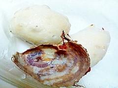 ほくほくでねっとりとした食感がたまらない！里芋レシピ20選