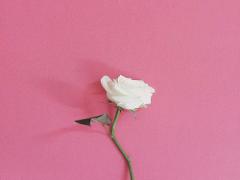 この夏『大人革命』 中身をgirlからladyに変身させるための10のこと