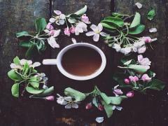 悪用厳禁！心を操る『魔術師の選択』って知っていますか？