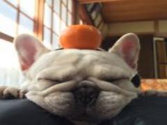 ストーンが主役も悪くない♡カラー別ストーンネイルカタログ