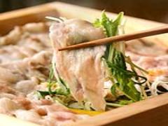 品川のおすすめ個室居酒屋でしっぽり大人呑みはいかが？