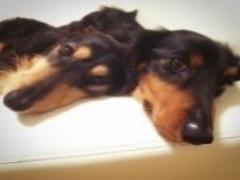 秋のおしゃれのマストitem♡フェルトハットをいつものコーデにプラスして