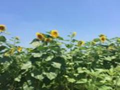 同じだけどちょっと違う♩今流行りの”ワイドパンツ”で周りと差をつけろ！