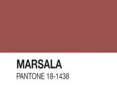 秋こそ挑戦したい、マルサラネイル。深みのあるカラーが素敵です♡